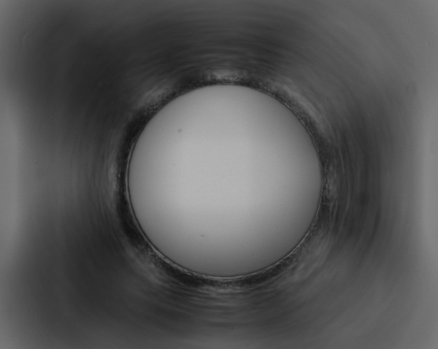 X0000088150639200705141052