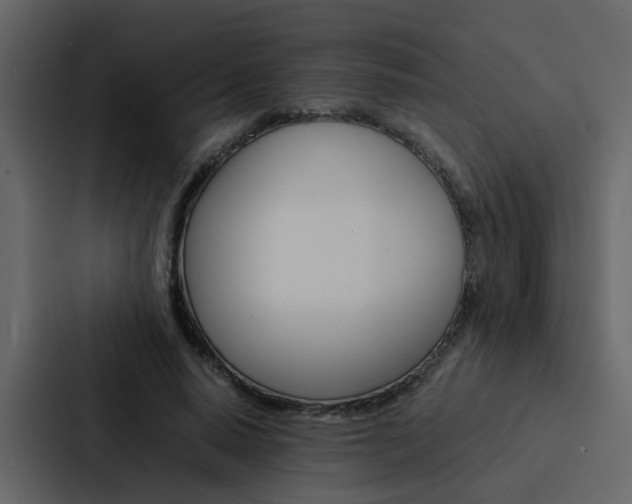 X0000088150640200705141052