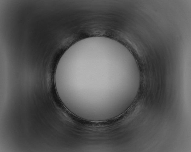 X0000088150641200705141052