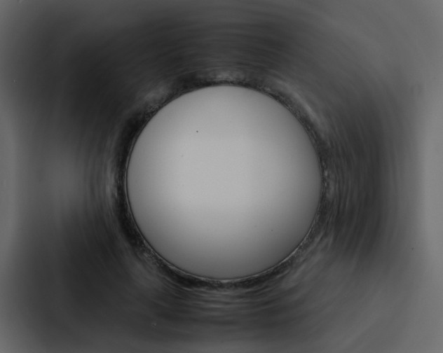 X0000088150643200705141052