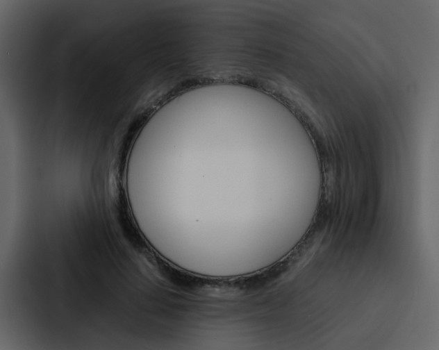 X0000088150644200705141052