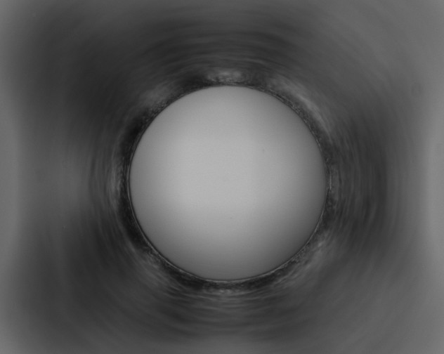 X0000088150645200705141052