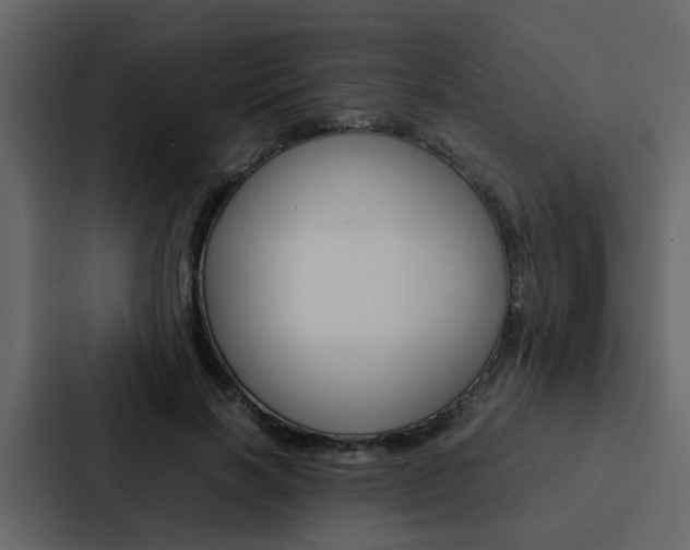 X0000088150646200705141052