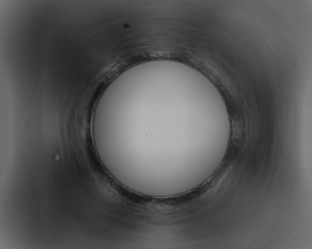 X0000088150648200705141052