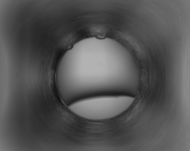 X0000088150649200705141052