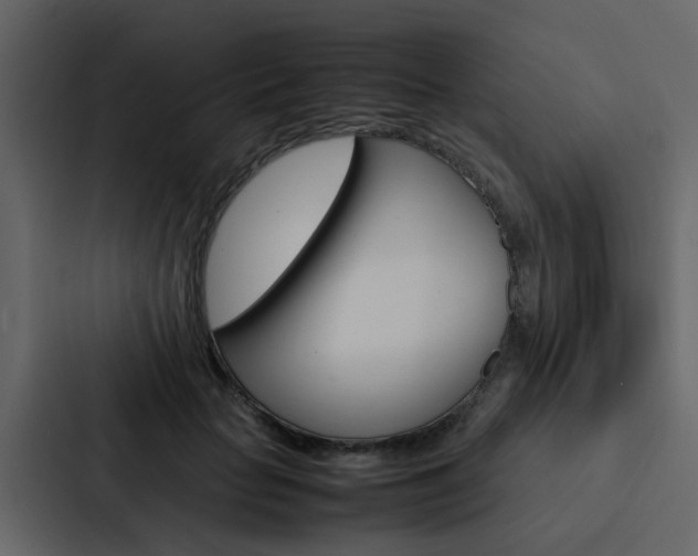 X0000088150653200705141052