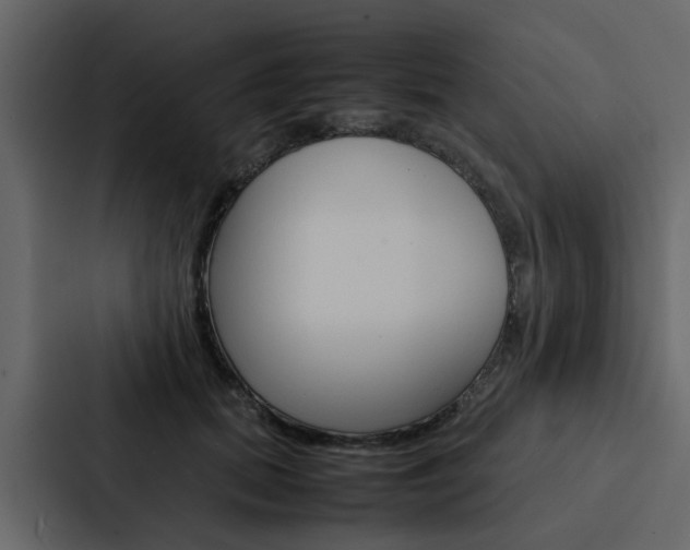 X0000088150655200705141052