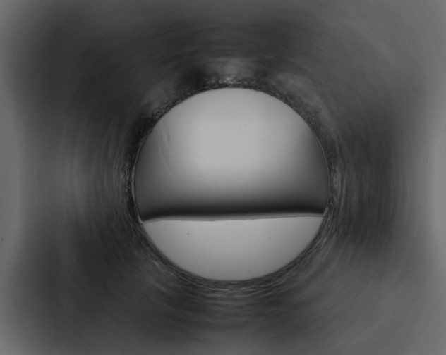 X0000088150657200705141052