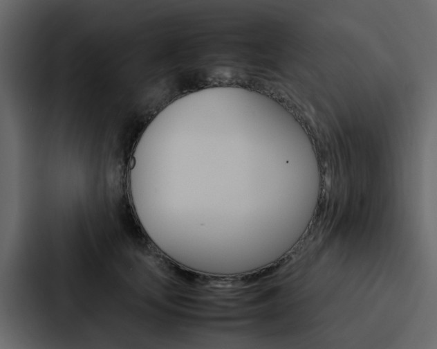 X0000088150659200705141052