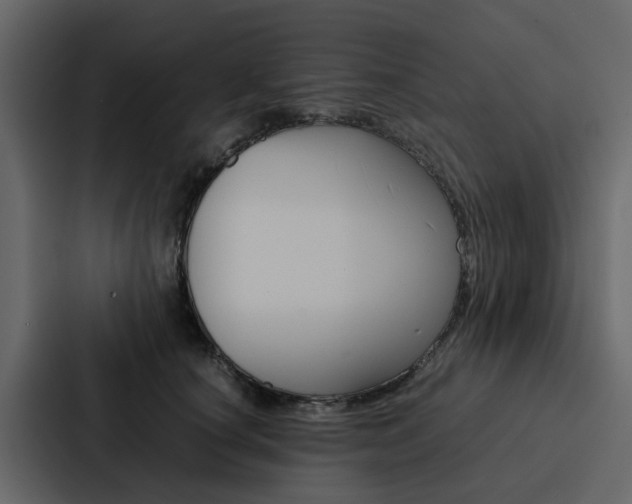 X0000088150660200705141052