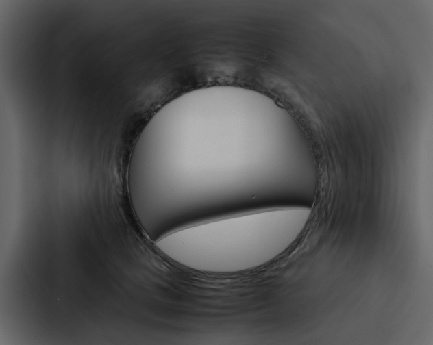 X0000088150661200705141052
