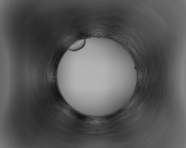 X0000088150663200705141052