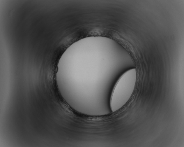 X0000088150665200705141052
