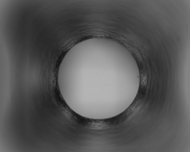 X0000088150666200705141052