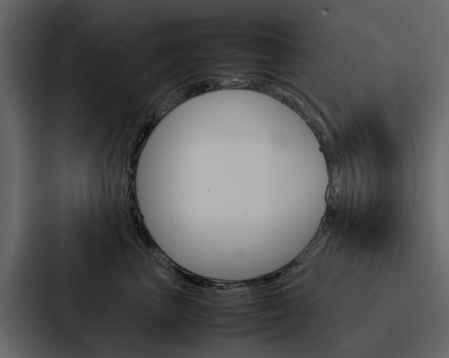 X0000088150667200705141052