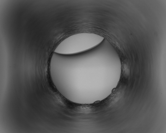 X0000088150668200705141052