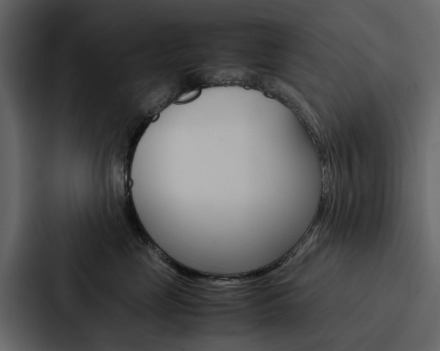 X0000088150669200705141052