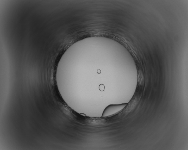 X0000088150670200705141052