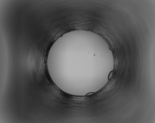 X0000088150671200705141053