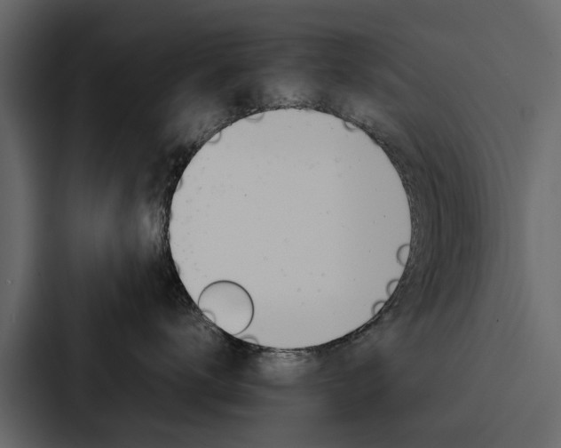 X0000088150672200705141053