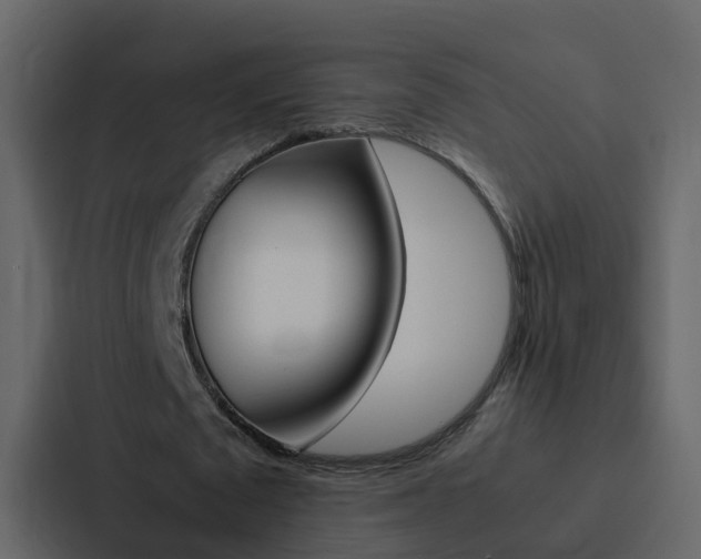 X0000088150673200705141052