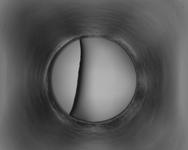 X0000088150674200705141052