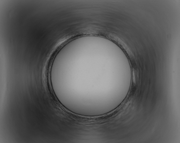 X0000088150675200705141052