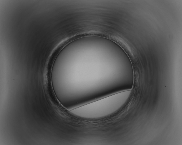 X0000088150676200705141052