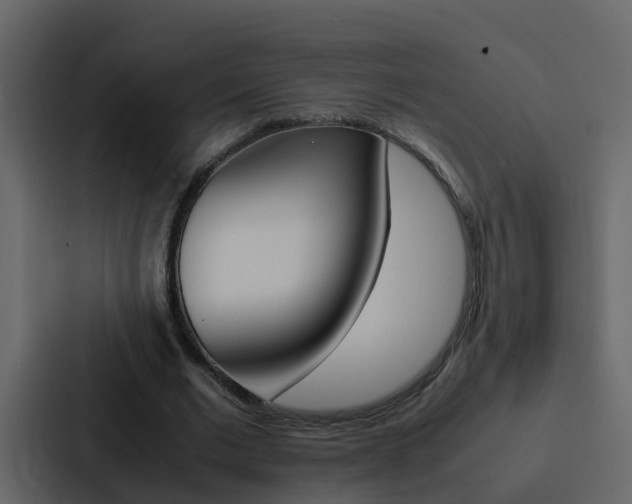 X0000088150677200705141052
