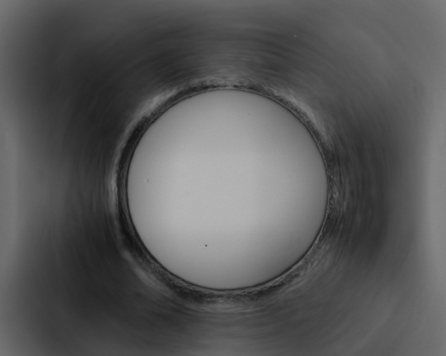 X0000088150678200705141052