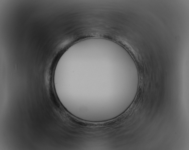 X0000088150679200705141052