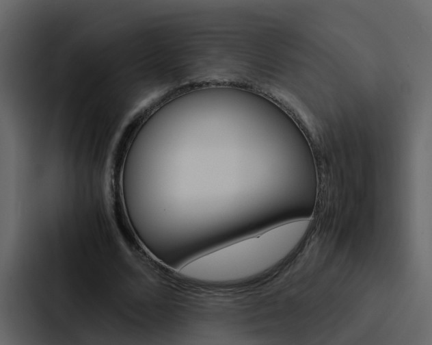 X0000088150680200705141052