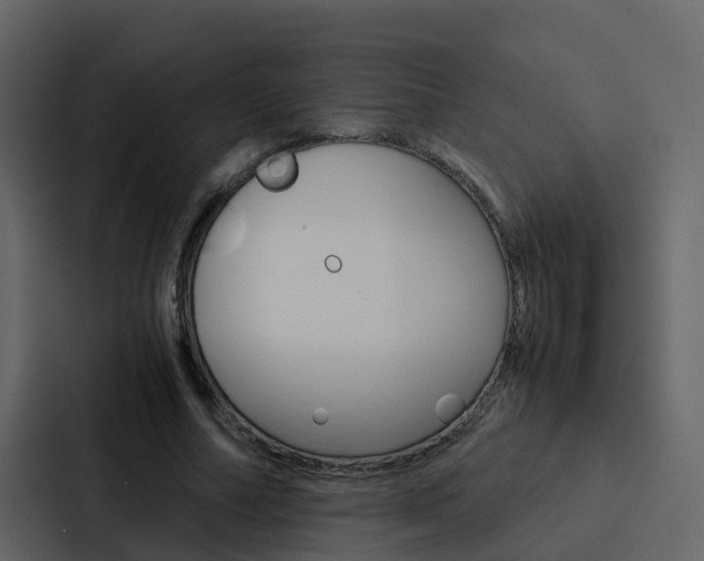 X0000088150682200705141052