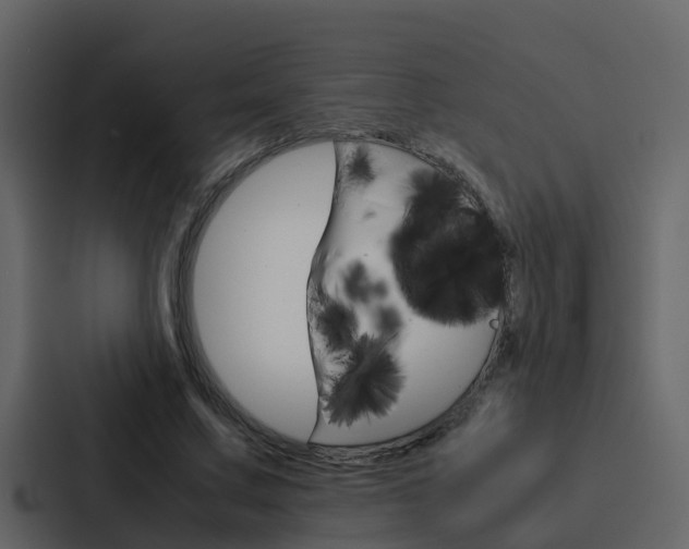 X0000088150683200705141052