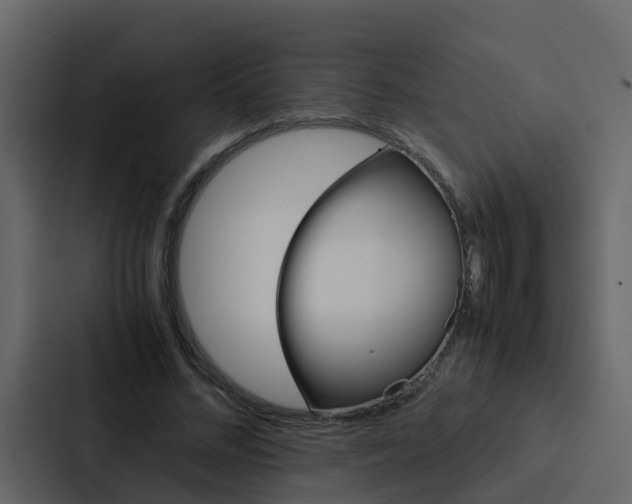 X0000088150684200705141052