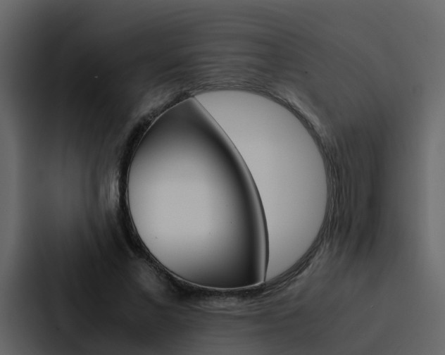 X0000088150685200705141052