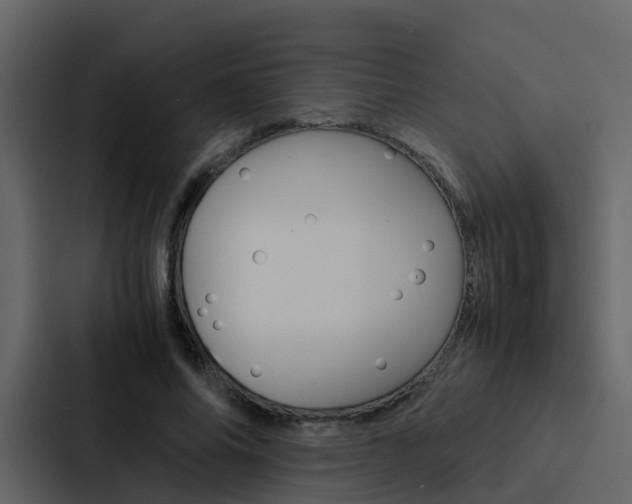 X0000088150686200705141052