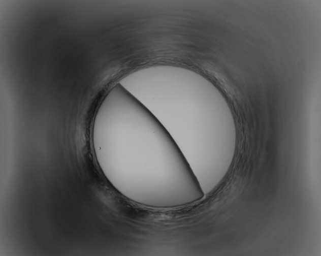 X0000088150687200705141052