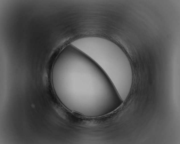 X0000088150688200705141052