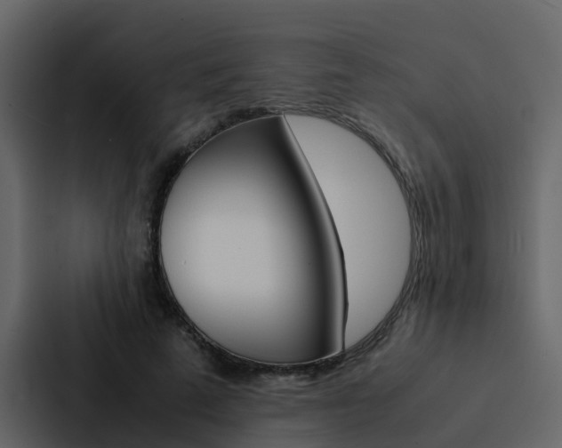 X0000088150689200705141052