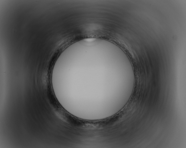 X0000088150690200705141052