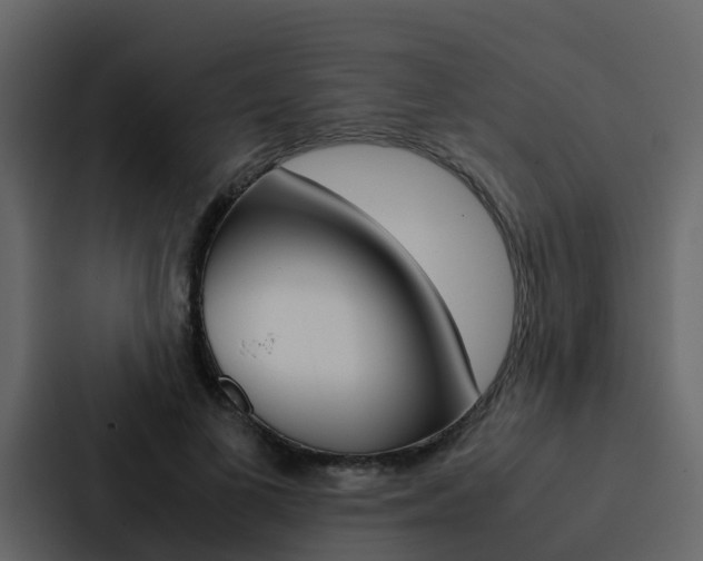 X0000088150693200705141052