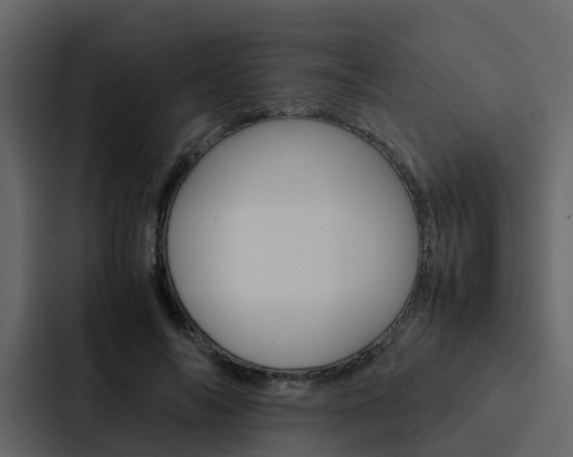 X0000088150694200705141052