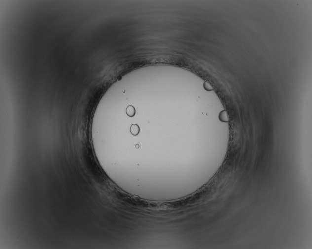 X0000088150695200705141052