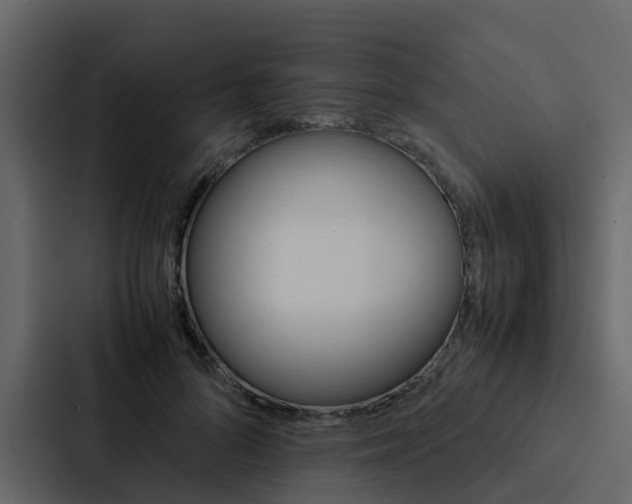 X0000088150696200705141052