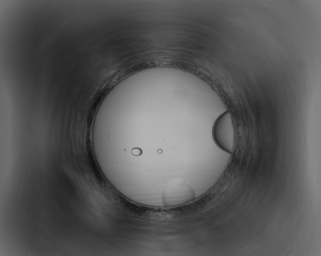 X0000088150698200705141052