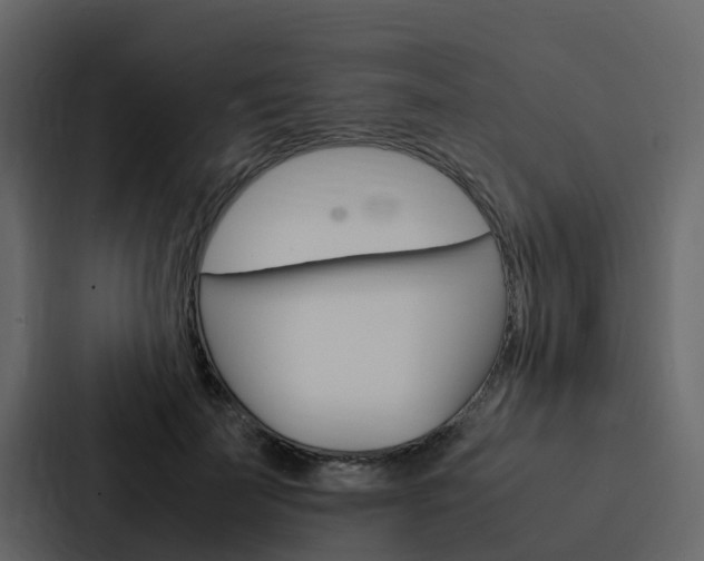 X0000088150699200705141052