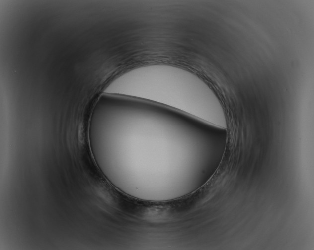 X0000088150700200705141052