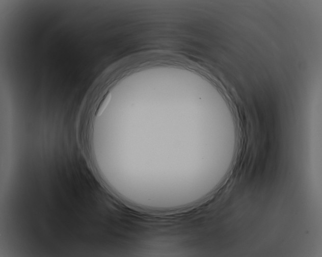 X0000088150701200705141052