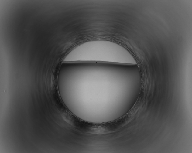 X0000088150704200705141051